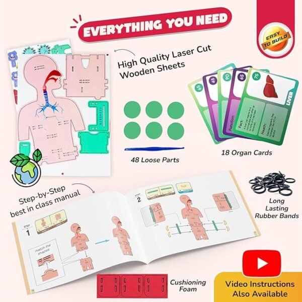 Smartivity DIY Human Body Kit – Fun & Educational STEM Toy for Kids Ages 6 to 14 | Learn About Organs & Their Functions | Perfect Birthday Gift for Boys & Girls | 79-Piece Wooden Construction Set - Image 2