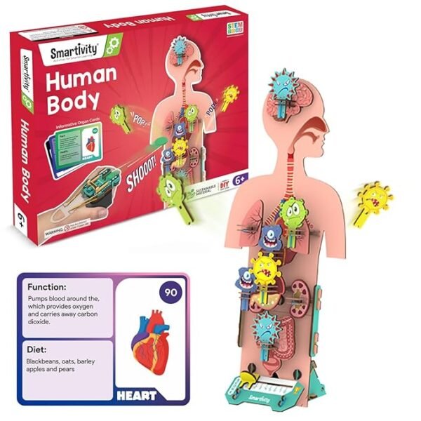 Smartivity DIY Human Body Kit – Fun & Educational STEM Toy for Kids Ages 6 to 14 | Learn About Organs & Their Functions | Perfect Birthday Gift for Boys & Girls | 79-Piece Wooden Construction Set
