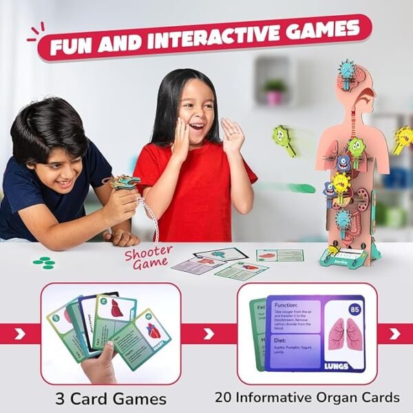 Smartivity DIY Human Body Kit – Fun & Educational STEM Toy for Kids Ages 6 to 14 | Learn About Organs & Their Functions | Perfect Birthday Gift for Boys & Girls | 79-Piece Wooden Construction Set - Image 3