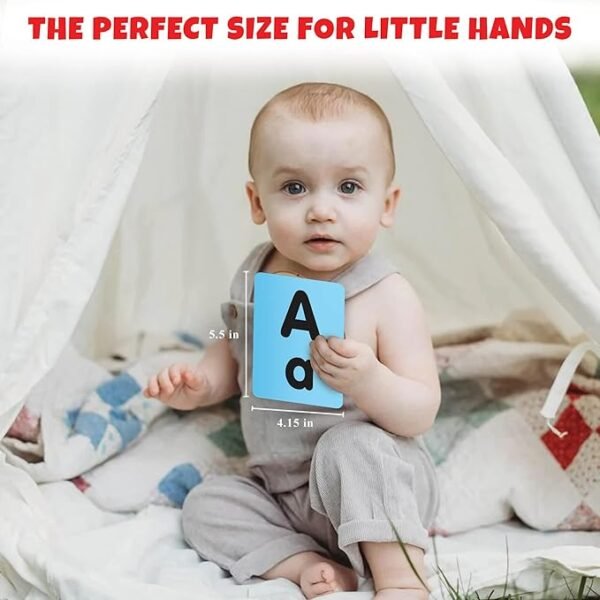 Little Berry Big Alphabet Flash Cards for Kids – 32 Double-Sided, Durable & Water-Resistant Picture Cards | Wipe & Clean Early Learning Toy for Toddlers & Preschoolers Ages 2 to 6 - Image 4